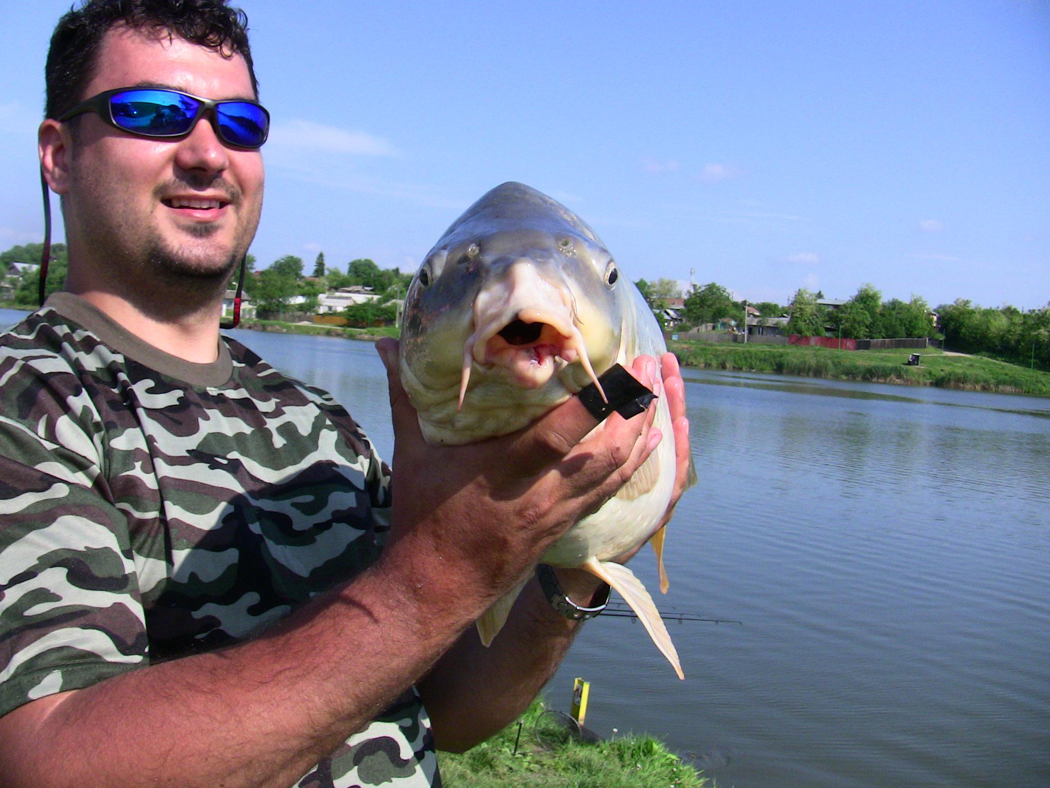 Moara Vlasiei 2012 - IMG_0136.JPG